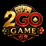 2GO Game