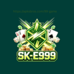 E999 game