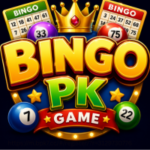 Bingopk game